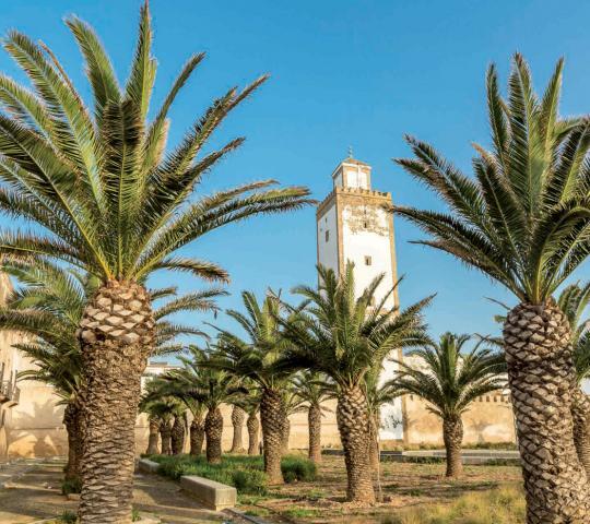 Mosquée de la kasbah