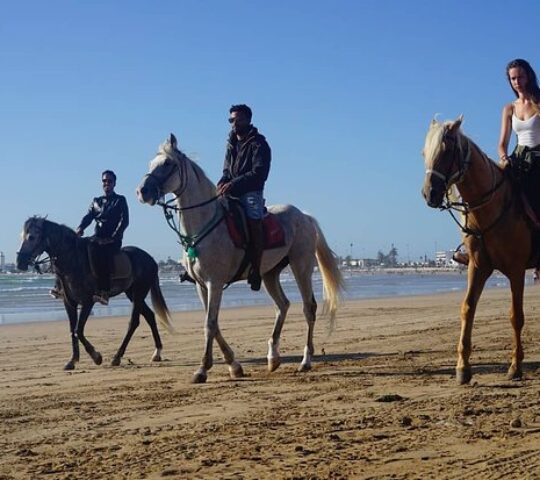 Essaouira Trip